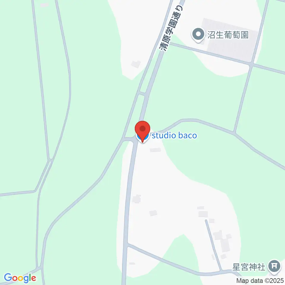 スタジオバコ周辺のカフェ一覧地図
