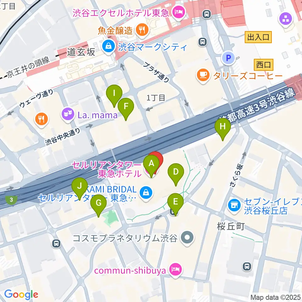 セルリアンタワー能楽堂周辺のカフェ一覧地図