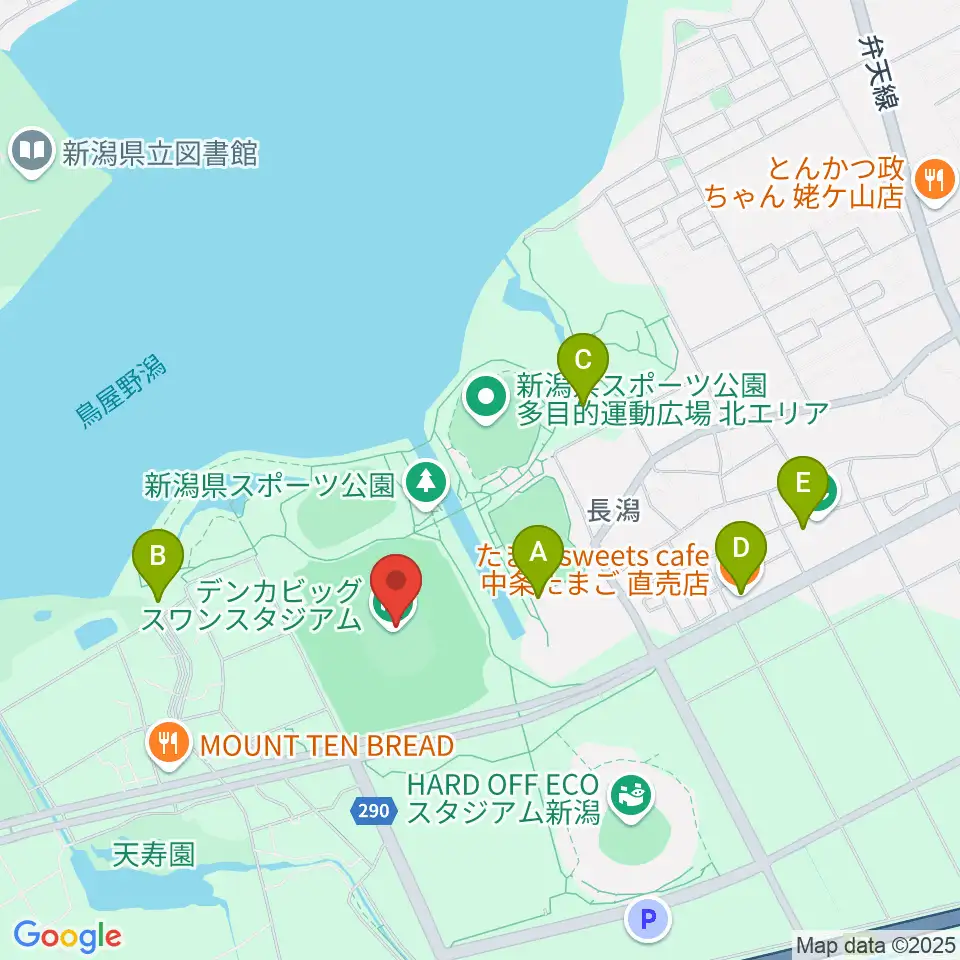 デンカビッグスワンスタジアム周辺のカフェ一覧地図