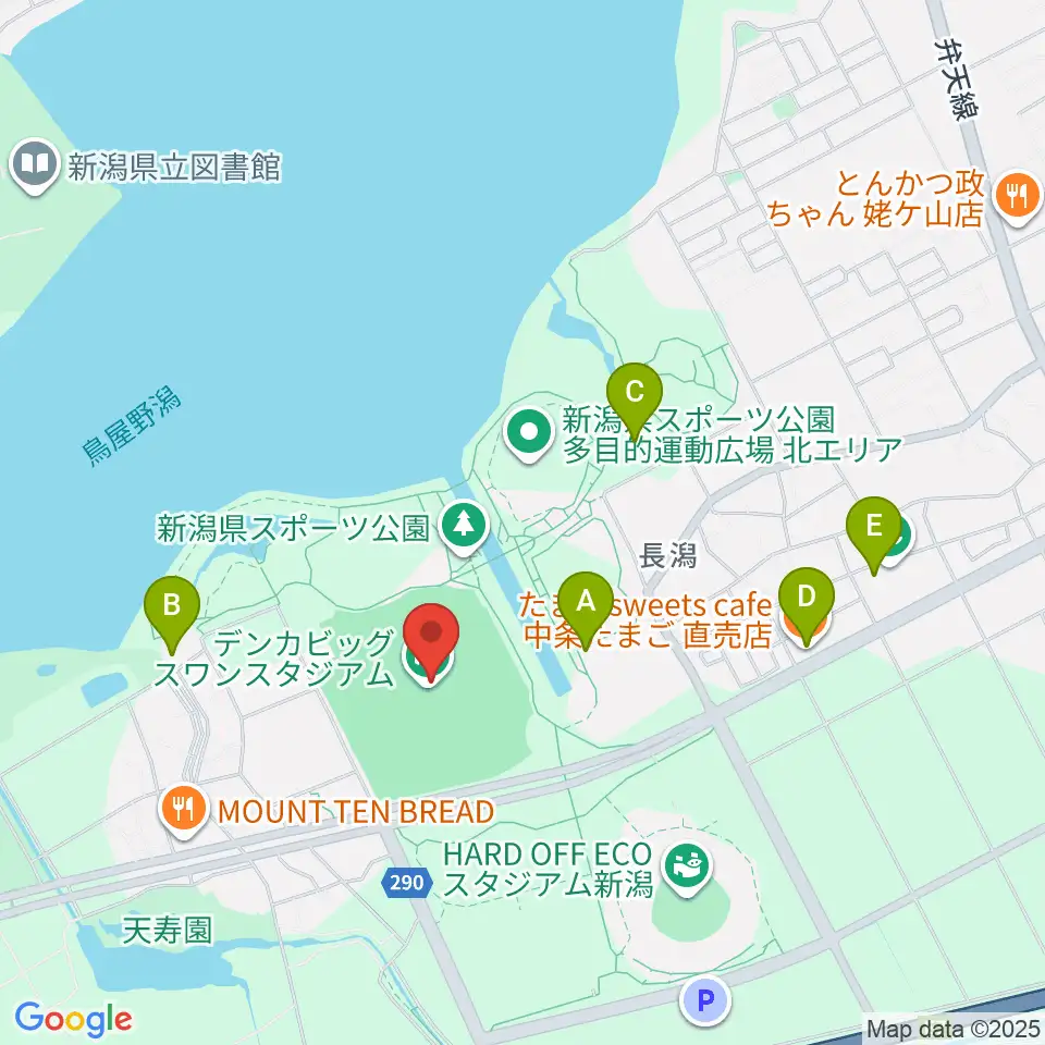 デンカビッグスワンスタジアム周辺のカフェ一覧地図