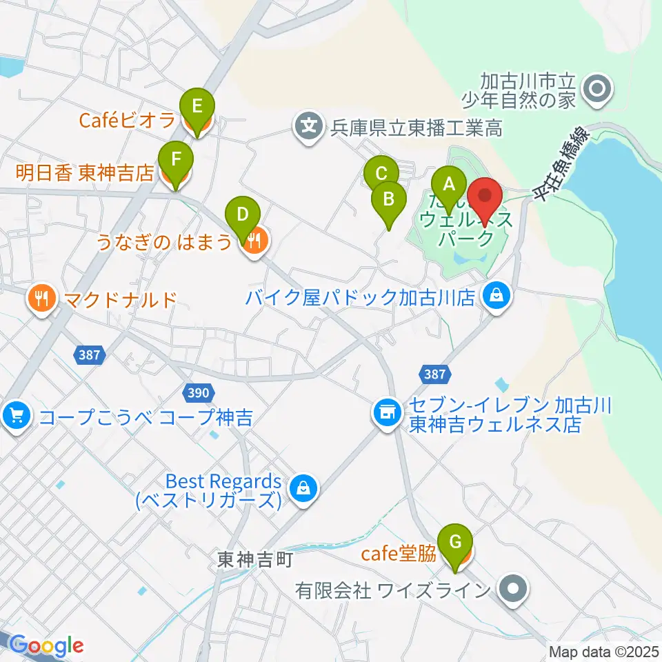 たんようウェルネスパーク アラベスクホール周辺のカフェ一覧地図