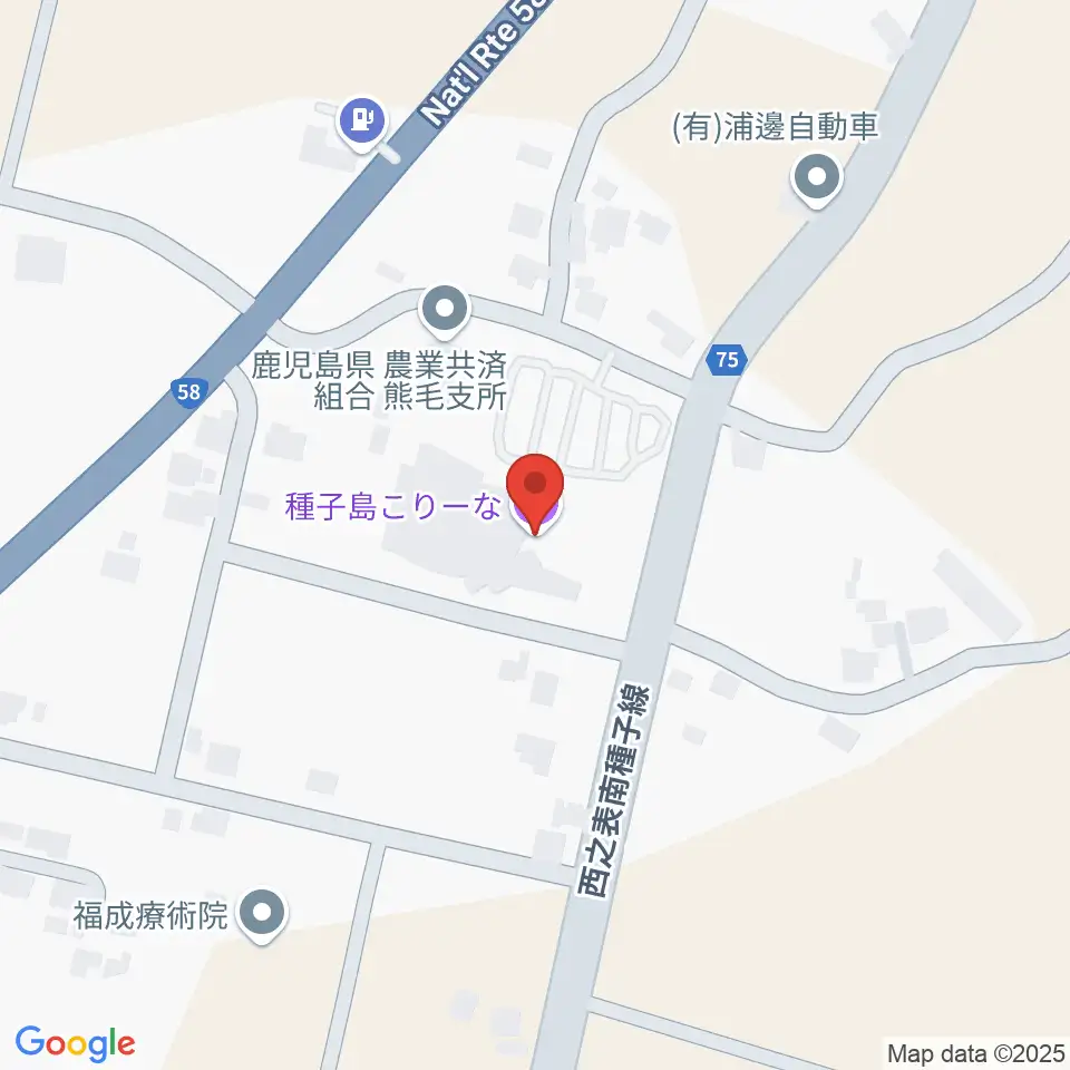 種子島こりーな周辺のカフェ一覧地図