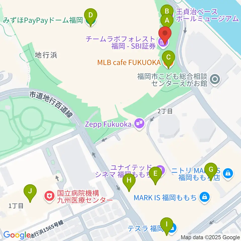 17LIVE HKT48劇場周辺のカフェ一覧地図