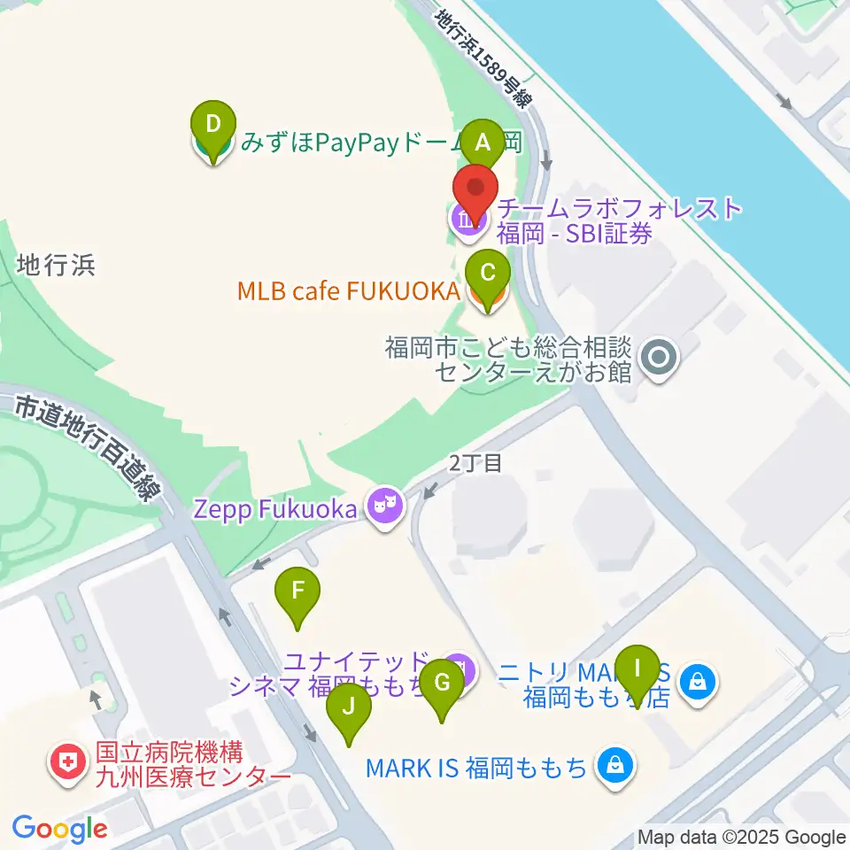 17LIVE HKT48劇場周辺のカフェ一覧地図