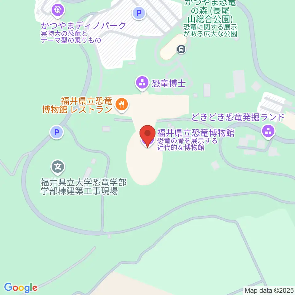 福井県立恐竜博物館周辺のカフェ一覧地図