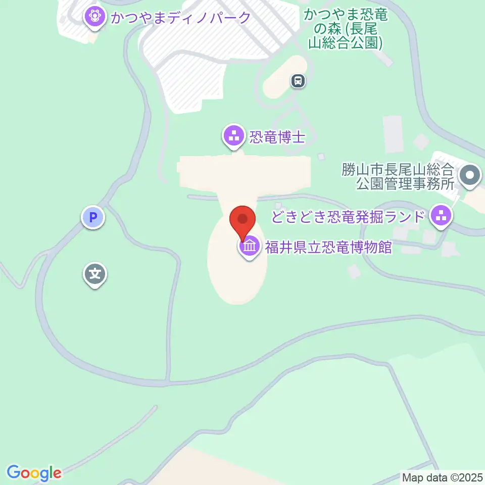 福井県立恐竜博物館周辺のカフェ一覧地図