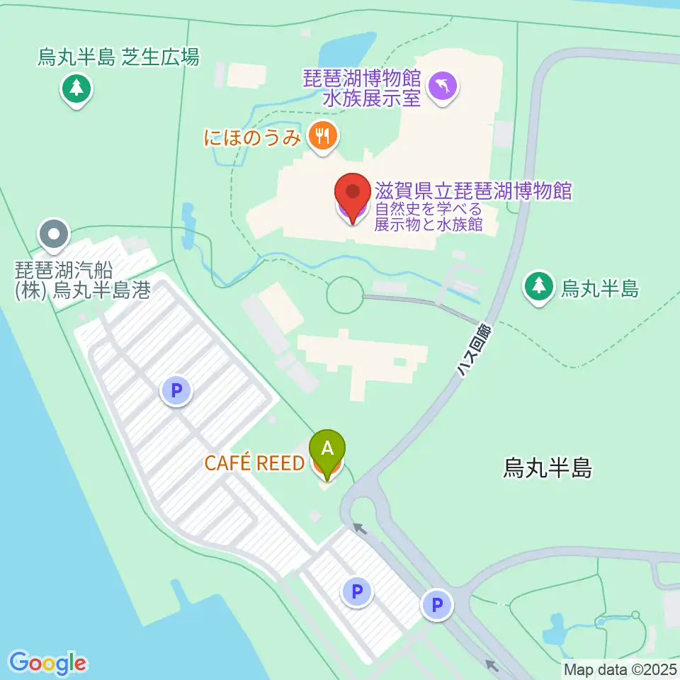 滋賀県立琵琶湖博物館周辺のカフェ一覧地図