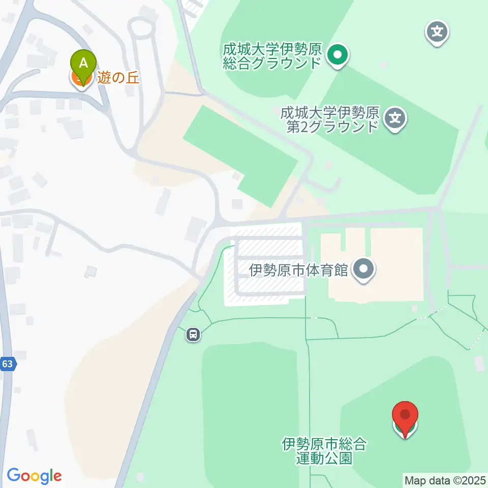 いせはらサンシャイン・スタジアム 伊勢原球場周辺のカフェ一覧地図