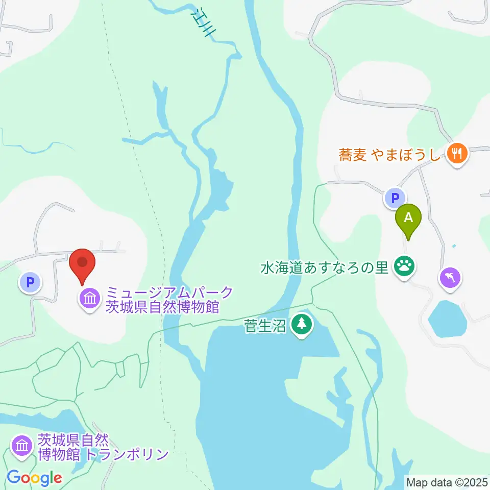 ミュージアムパーク茨城県自然博物館周辺のカフェ一覧地図