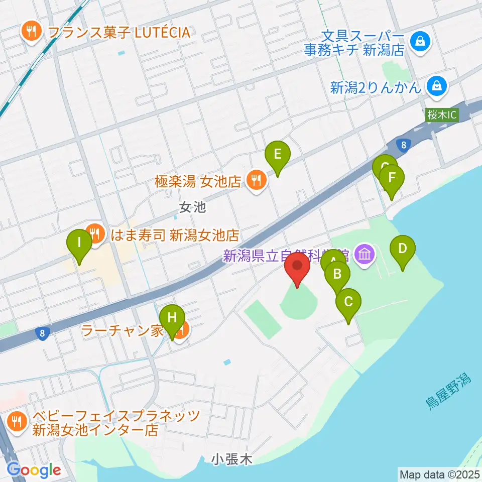鳥屋野運動公園野球場周辺のカフェ一覧地図