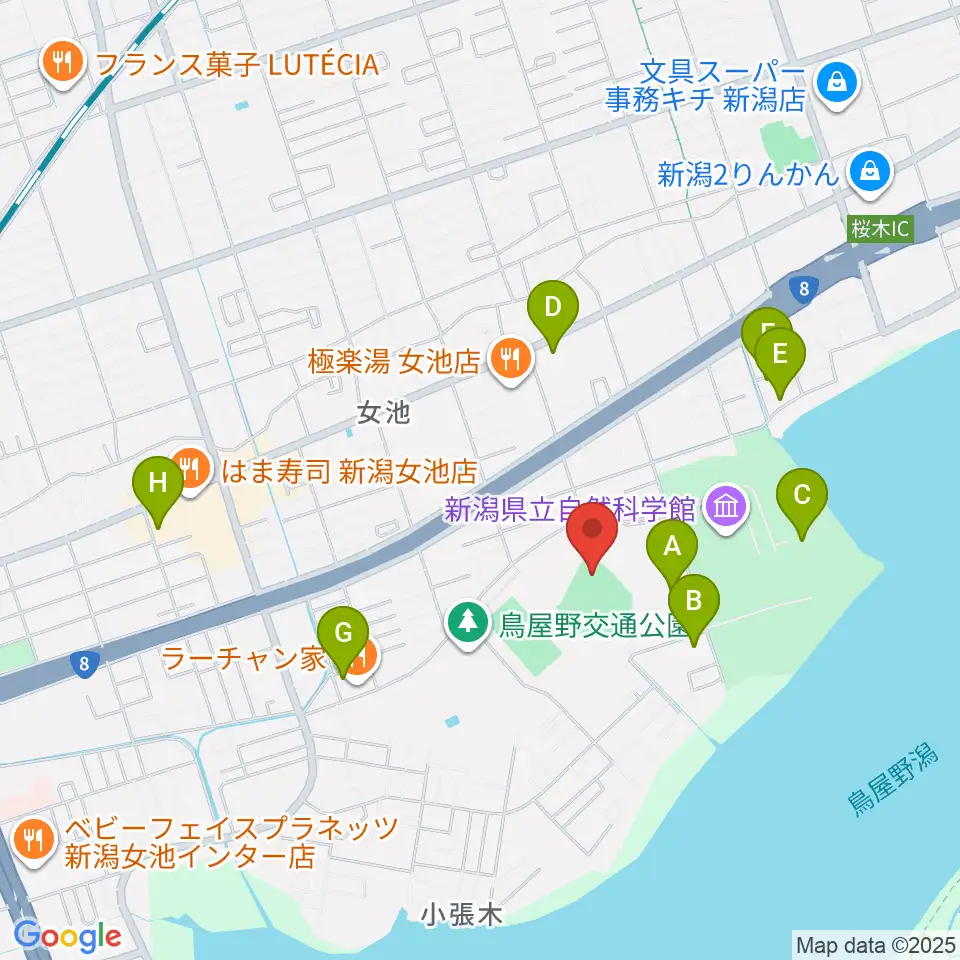 鳥屋野運動公園野球場周辺のカフェ一覧地図