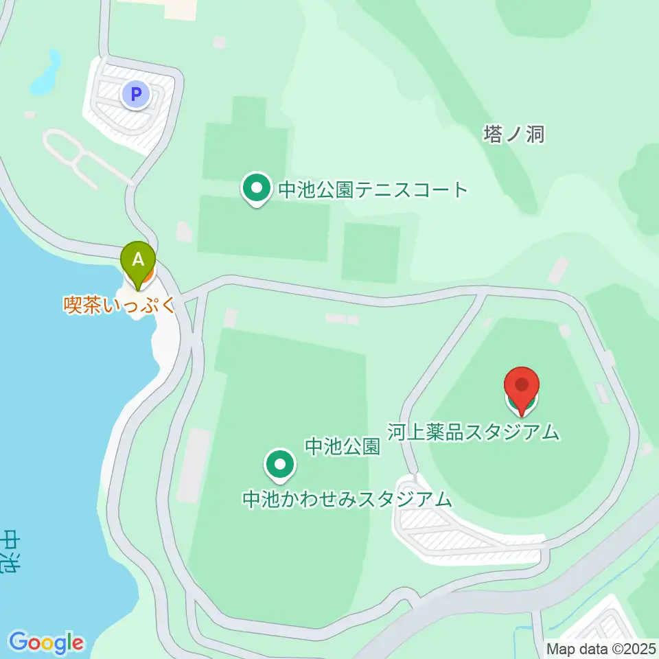 河上薬品スタジアム周辺のカフェ一覧地図