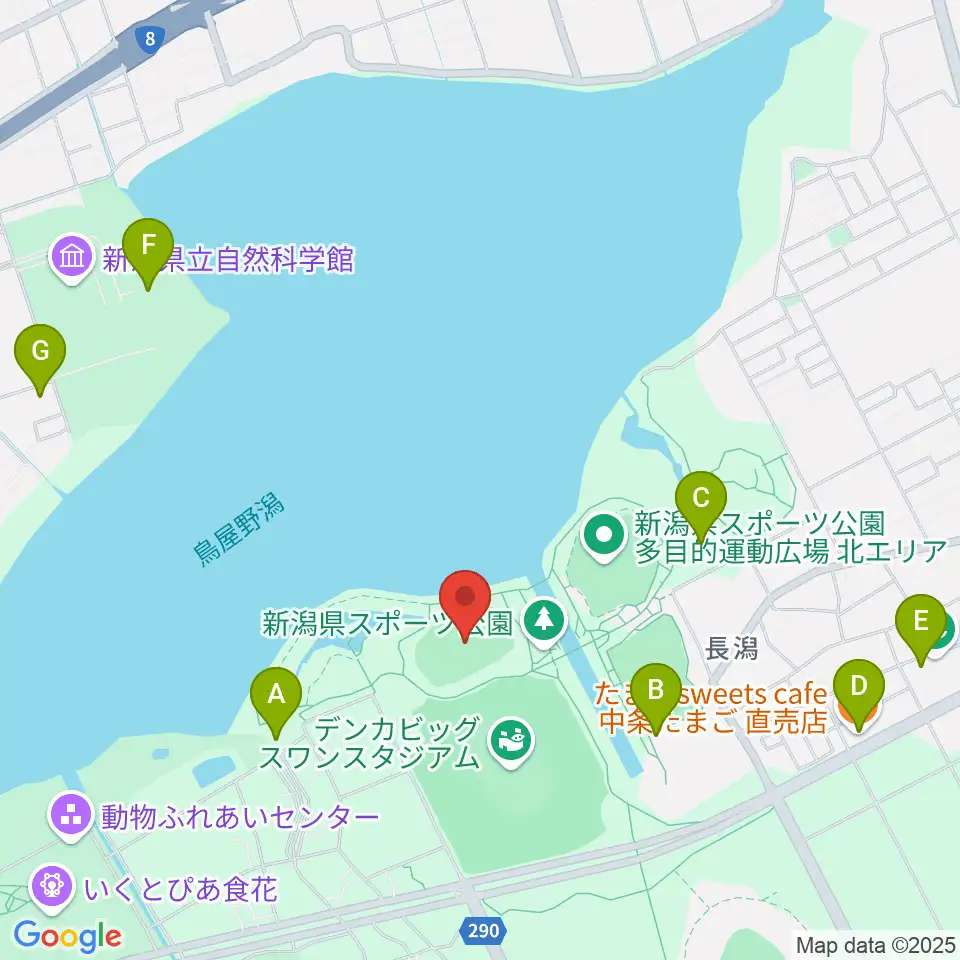 デンカスワンフィールド周辺のカフェ一覧地図