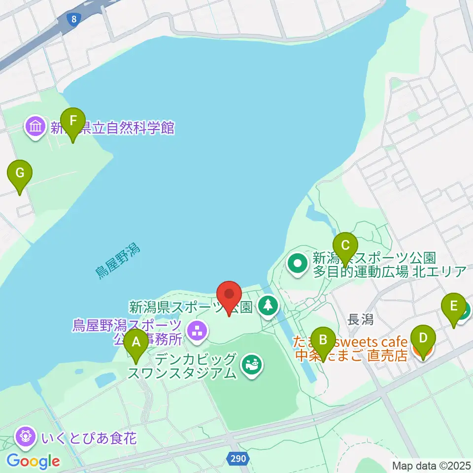デンカスワンフィールド周辺のカフェ一覧地図