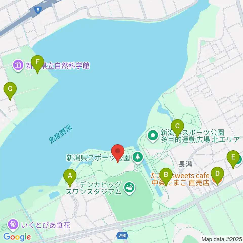 デンカスワンフィールド周辺のカフェ一覧地図