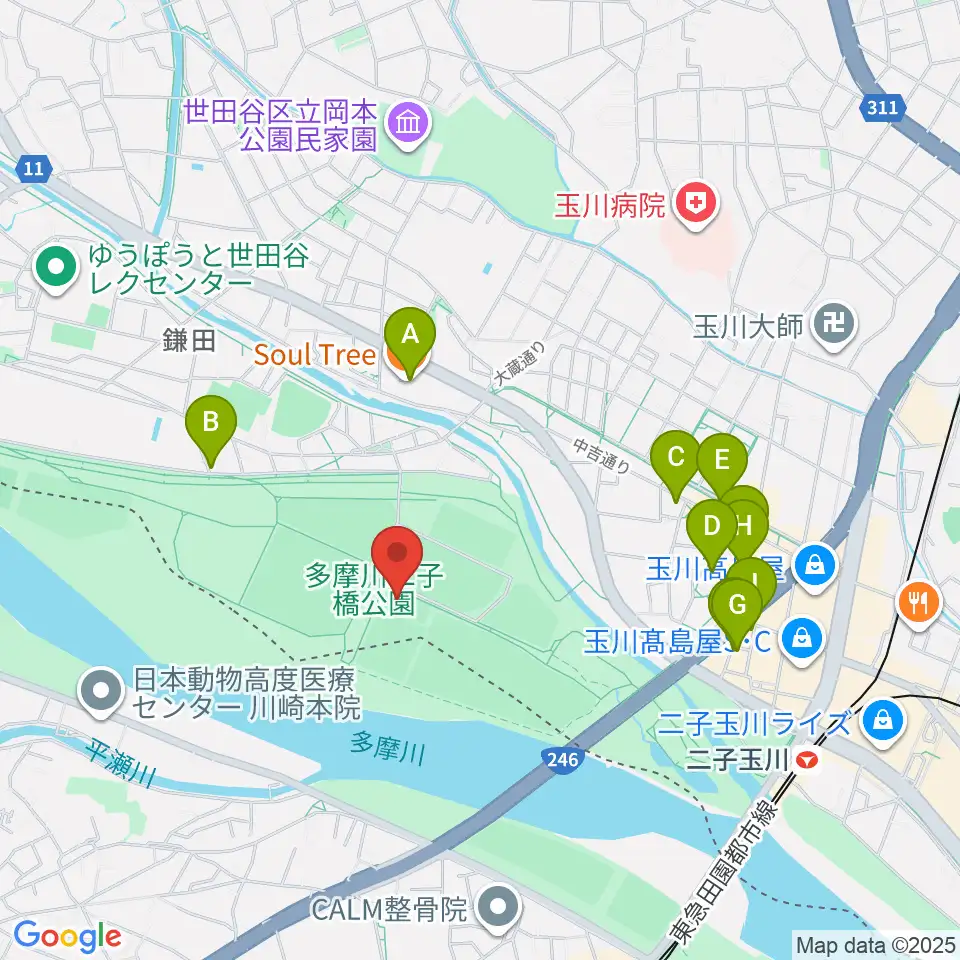 二子玉川区民運動施設周辺のカフェ一覧地図
