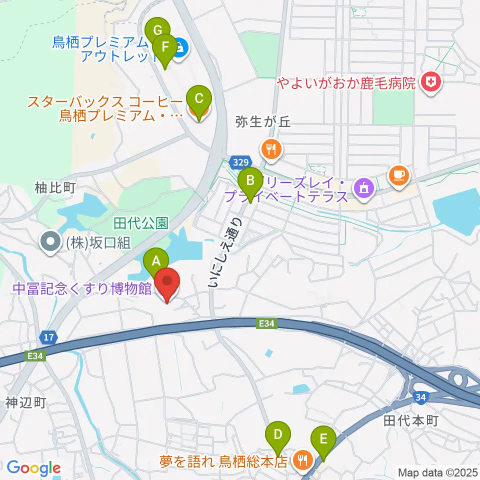 中冨記念くすり博物館周辺のカフェ一覧地図