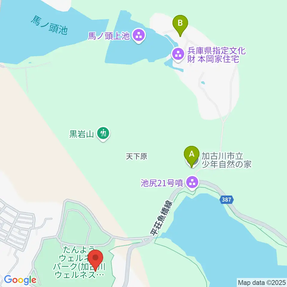 たんようウェルネスパーク アラベスクホール周辺のホテル一覧地図
