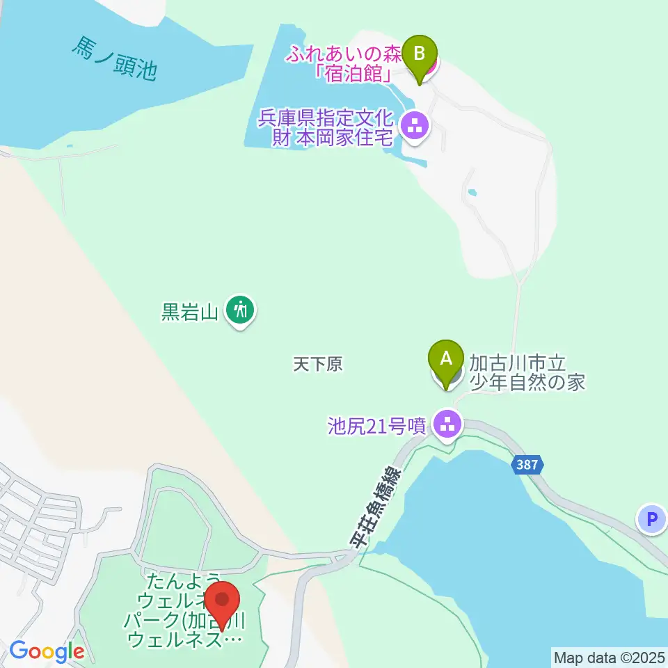 たんようウェルネスパーク アラベスクホール周辺のホテル一覧地図