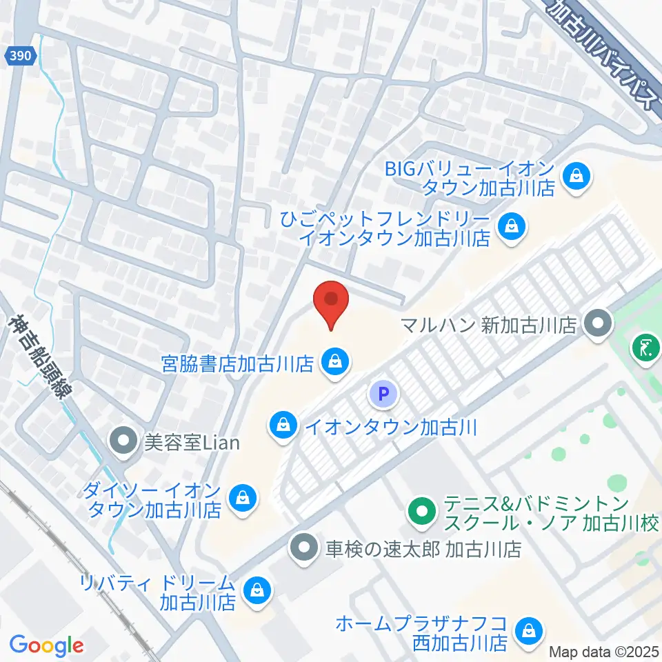 ブラウアー音楽練習場&アカデミー周辺のホテル一覧地図