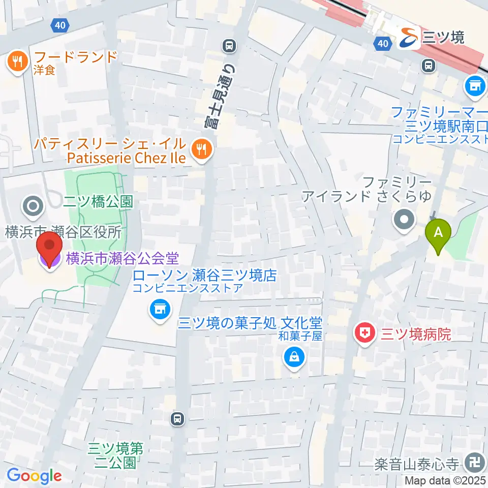 横浜市瀬谷公会堂周辺のホテル一覧地図