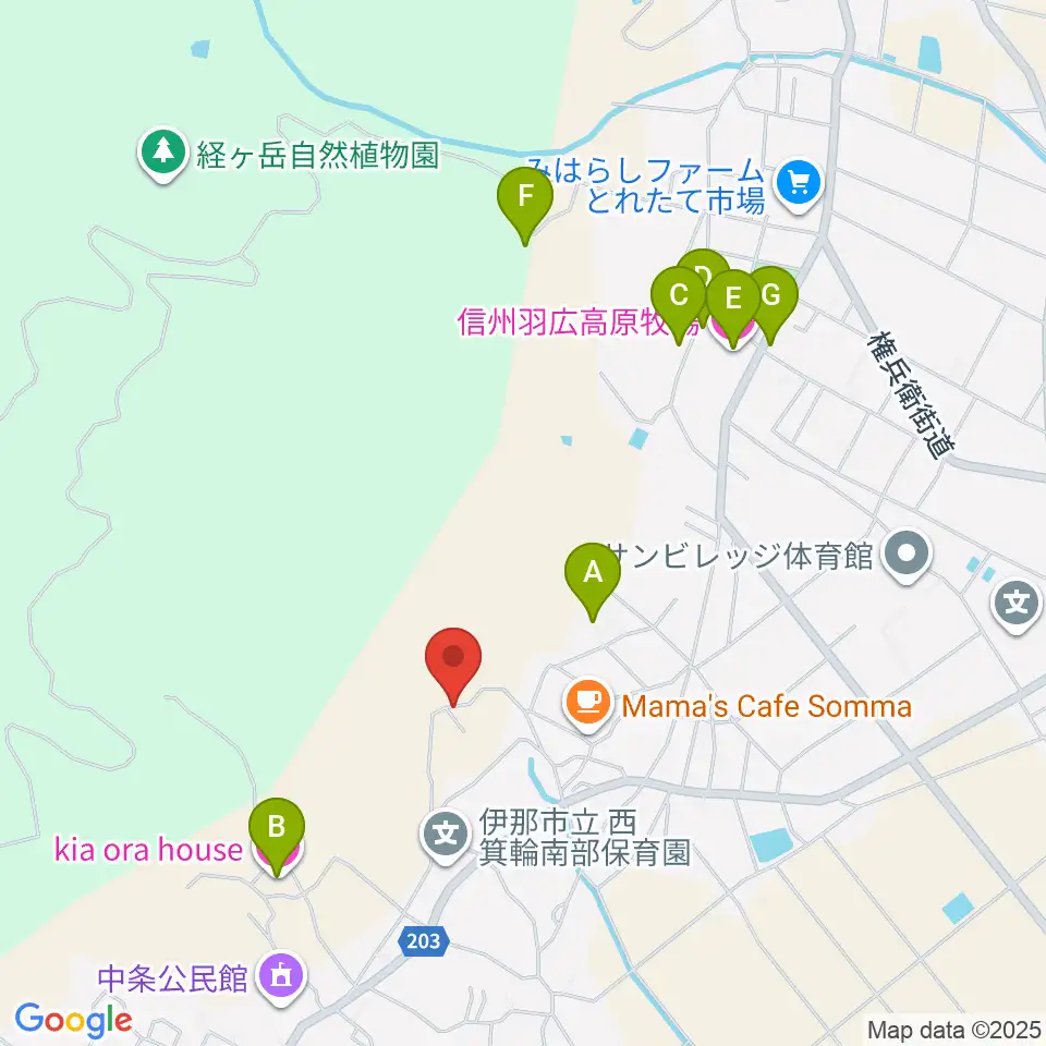 RED IGUANA STUDIO周辺のホテル一覧地図