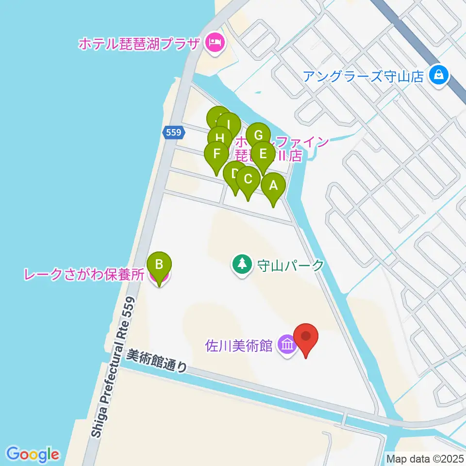 佐川美術館周辺のホテル一覧地図