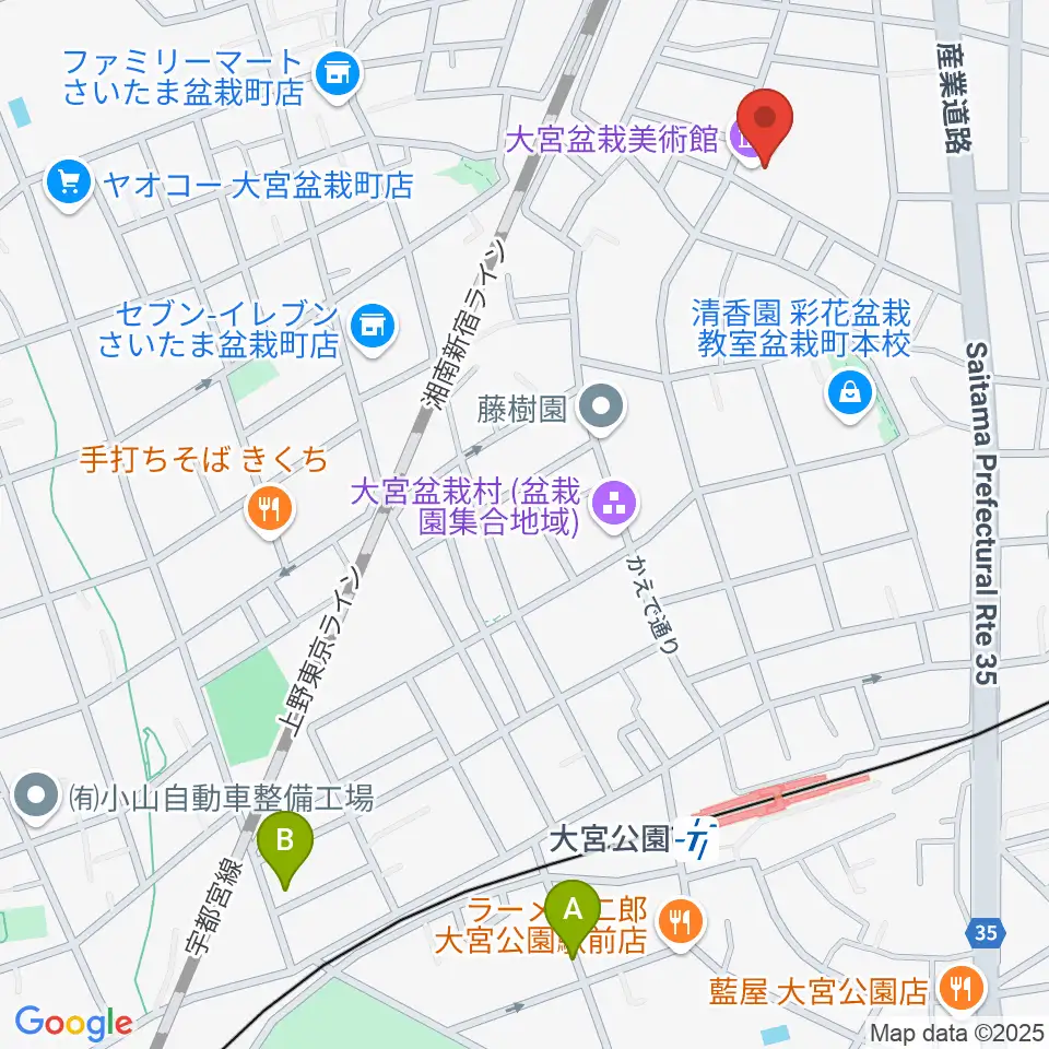 さいたま市大宮盆栽美術館周辺のホテル一覧地図
