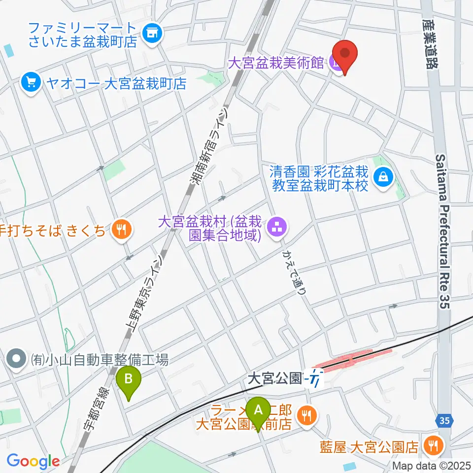 さいたま市大宮盆栽美術館周辺のホテル一覧地図
