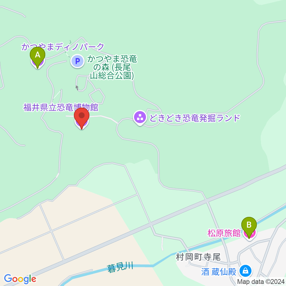 福井県立恐竜博物館周辺のホテル一覧地図