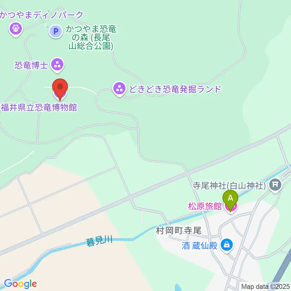 福井県立恐竜博物館周辺のホテル一覧地図