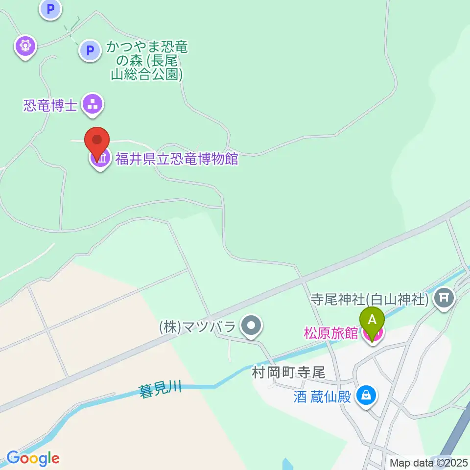 福井県立恐竜博物館周辺のホテル一覧地図