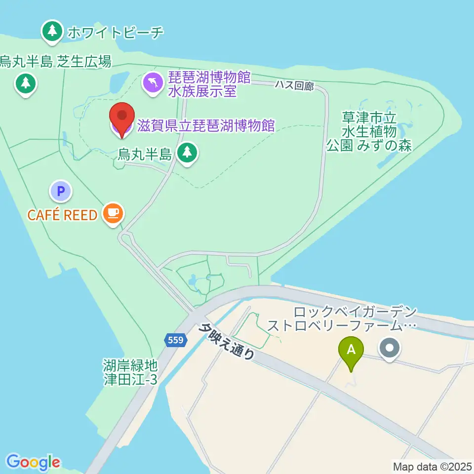 滋賀県立琵琶湖博物館周辺のホテル一覧地図