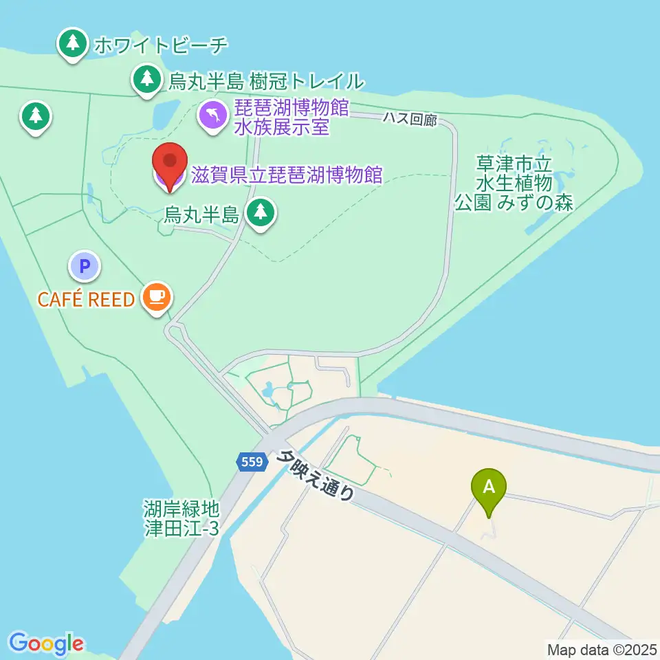 滋賀県立琵琶湖博物館周辺のホテル一覧地図