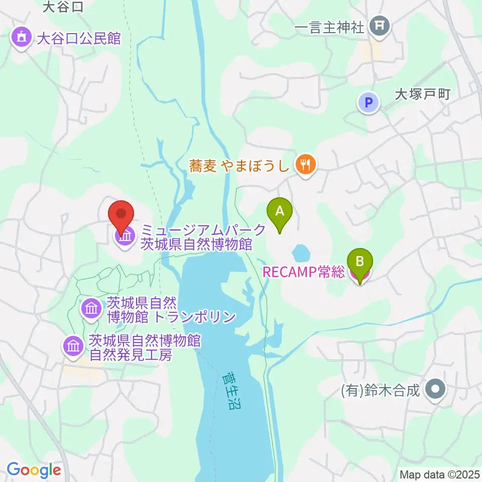 ミュージアムパーク茨城県自然博物館周辺のホテル一覧地図