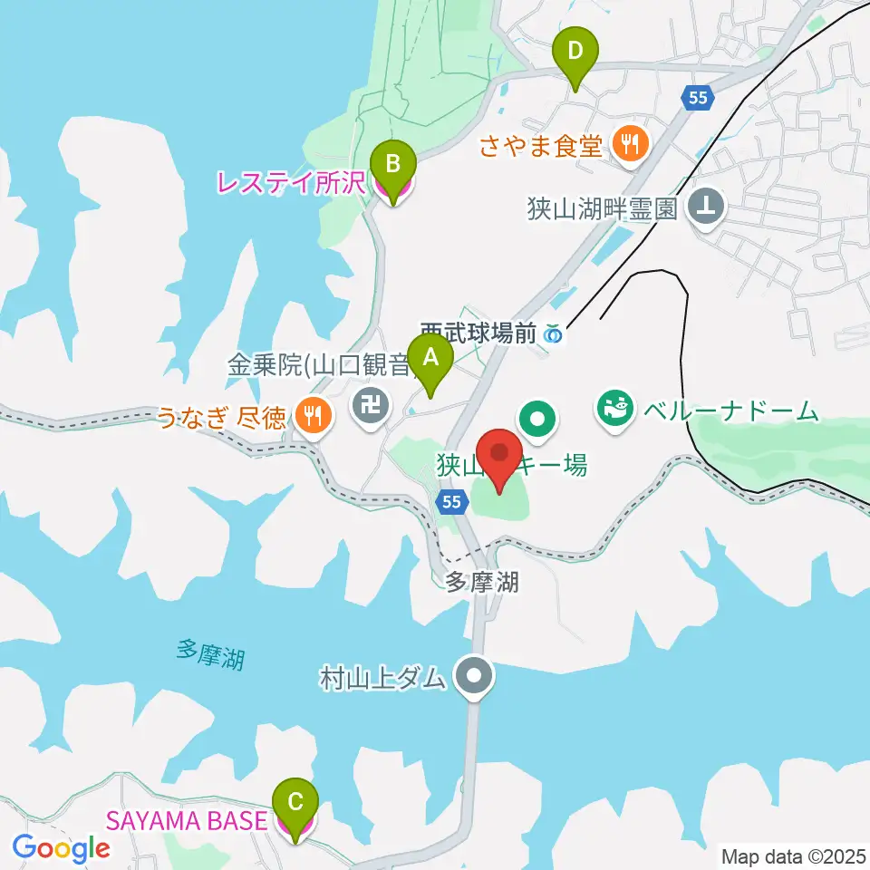 CAR3219フィールド周辺のホテル一覧地図