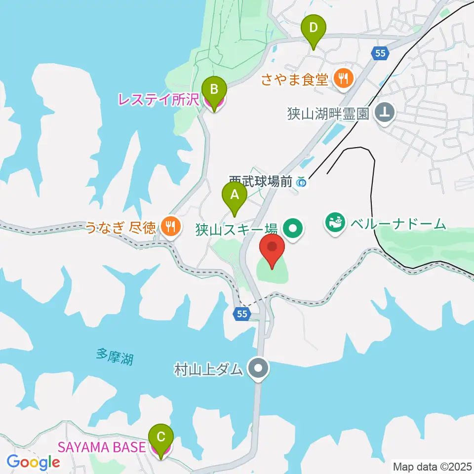 CAR3219フィールド周辺のホテル一覧地図