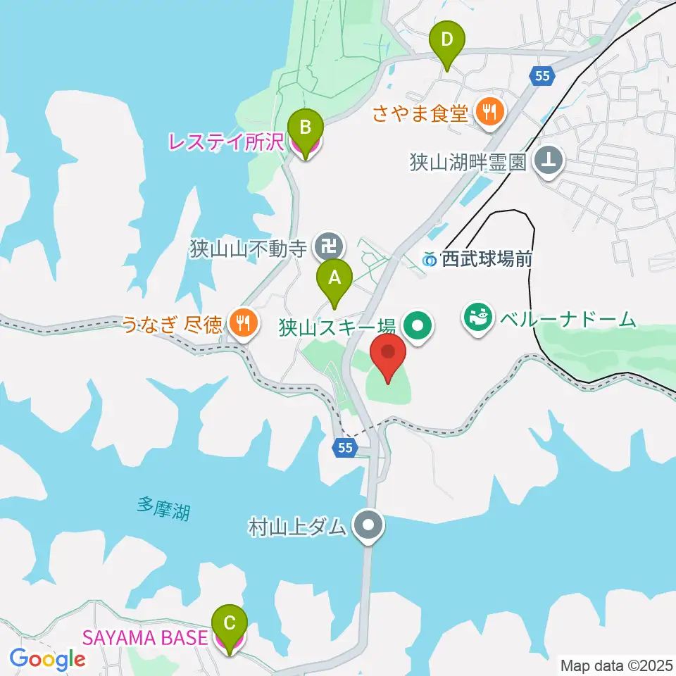 CAR3219フィールド周辺のホテル一覧地図