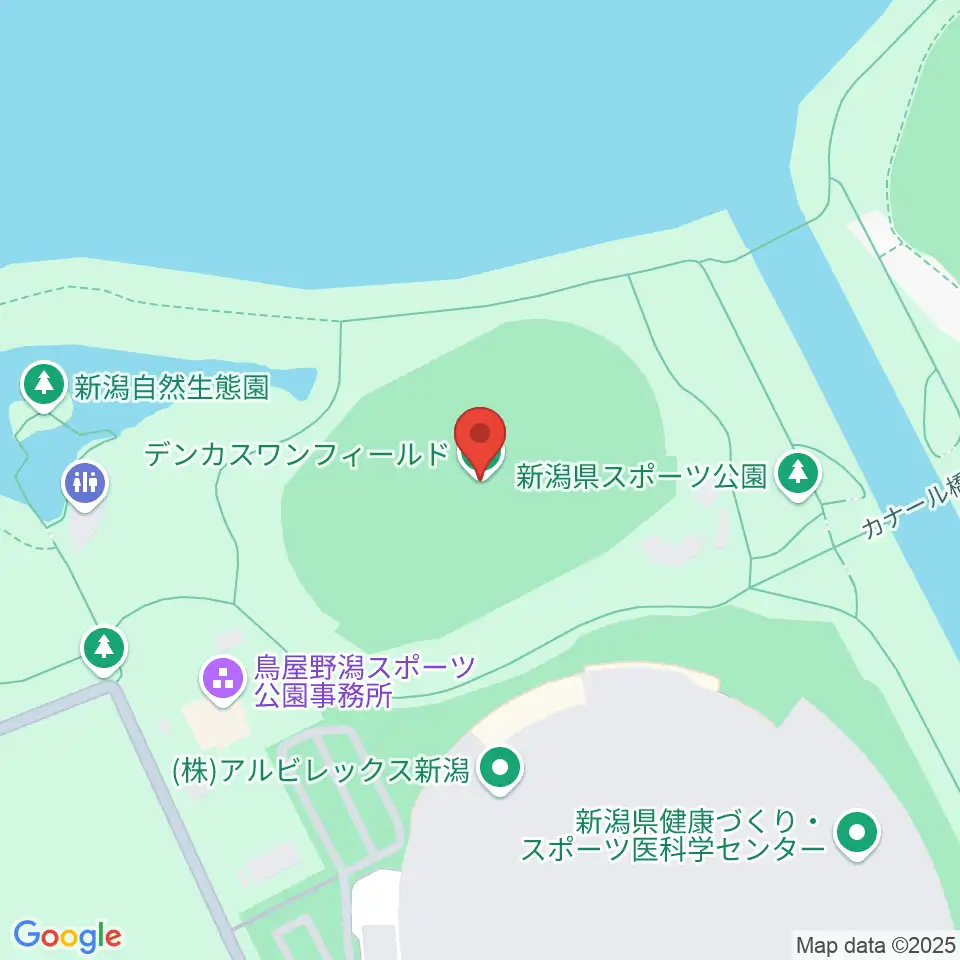 デンカスワンフィールド周辺のホテル一覧地図