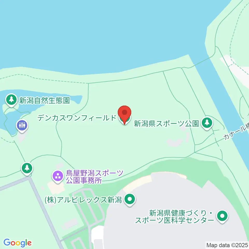 デンカスワンフィールド周辺のホテル一覧地図