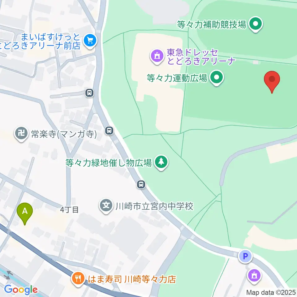 等々力緑地中央グラウンド周辺のホテル一覧地図