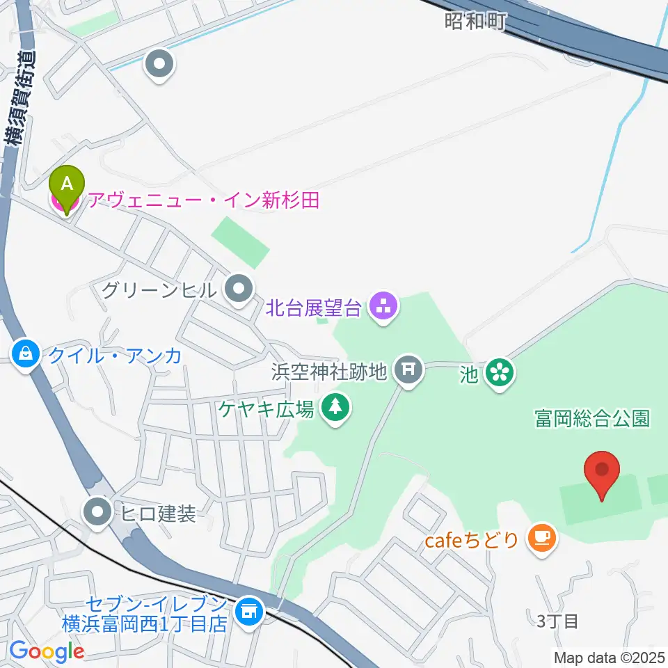 富岡総合公園多目的広場周辺のホテル一覧地図
