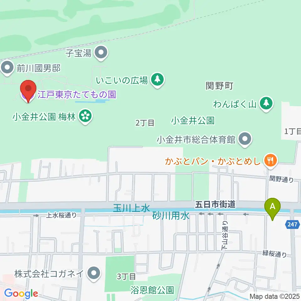 江戸東京たてもの園周辺のホテル一覧地図