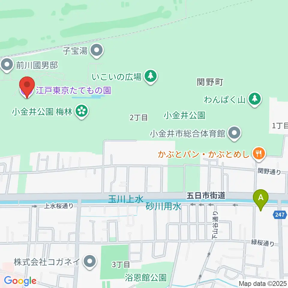 江戸東京たてもの園周辺のホテル一覧地図