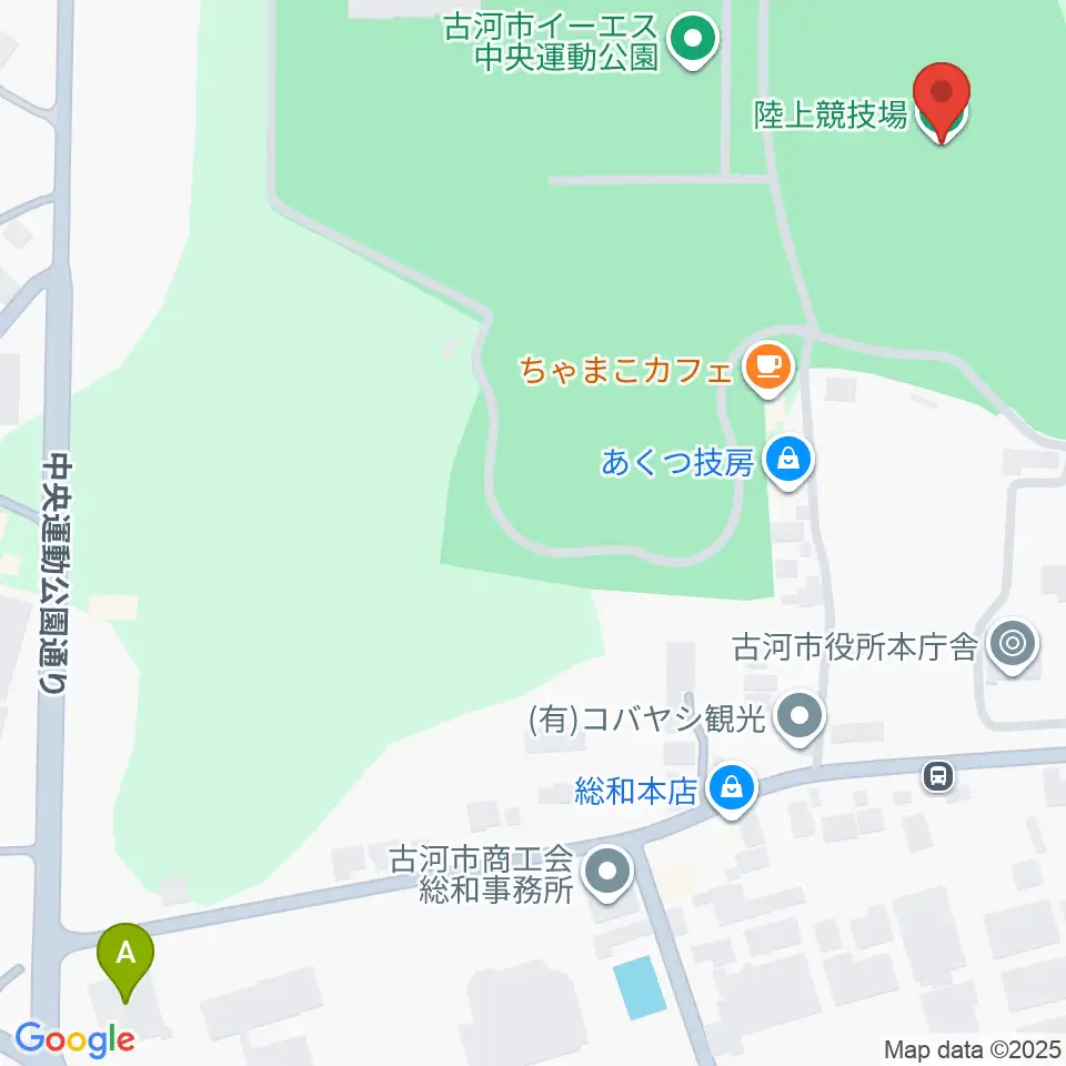 古河市イーエス中央運動公園陸上競技場周辺のホテル一覧地図
