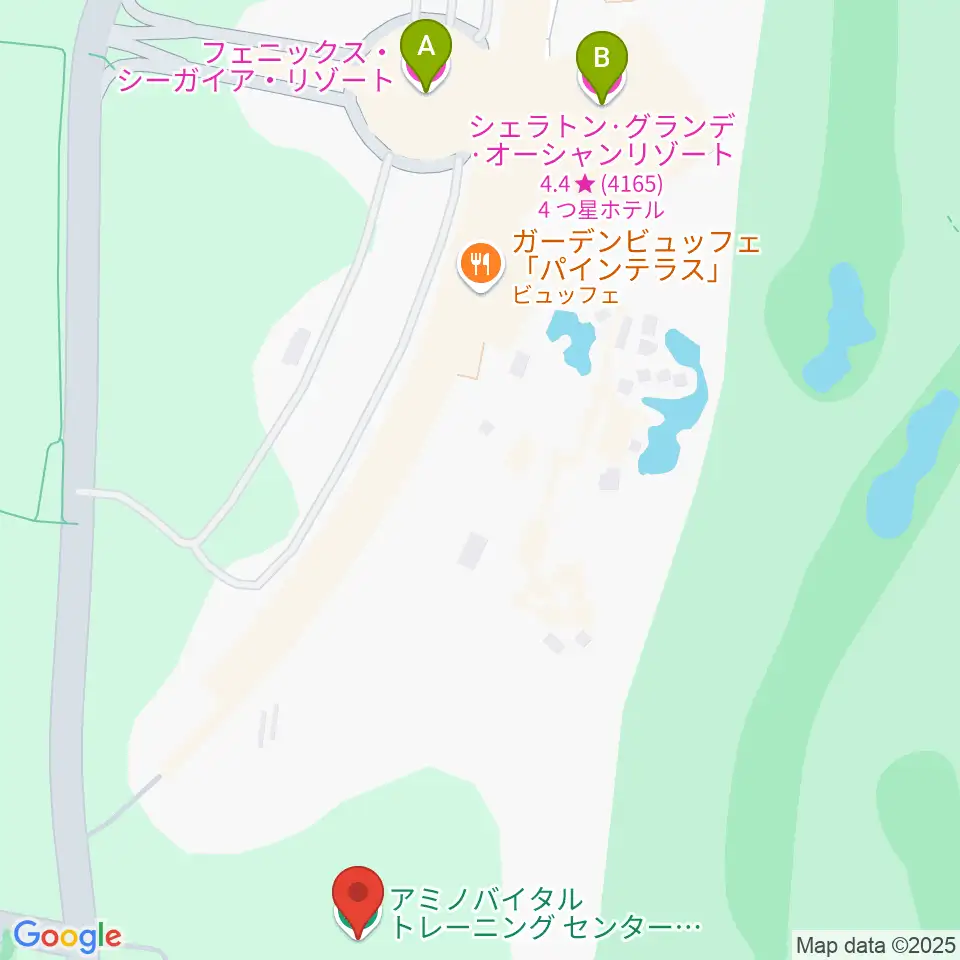 アミノバイタルトレーニングセンター宮崎周辺のホテル一覧地図