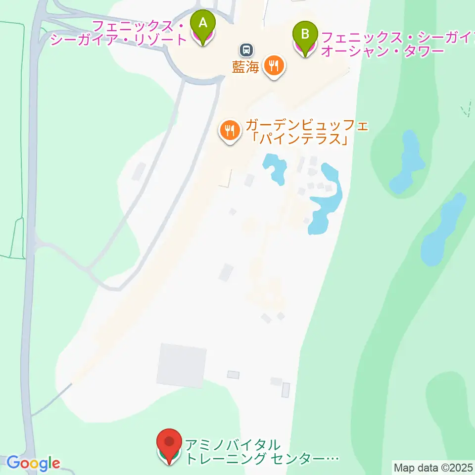 アミノバイタルトレーニングセンター宮崎周辺のホテル一覧地図