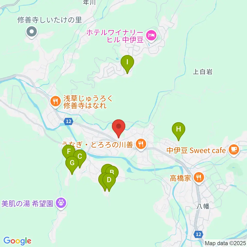 伊豆市資料館周辺のホテル一覧地図