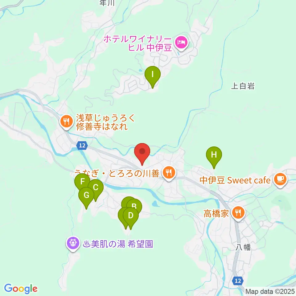 伊豆市資料館周辺のホテル一覧地図