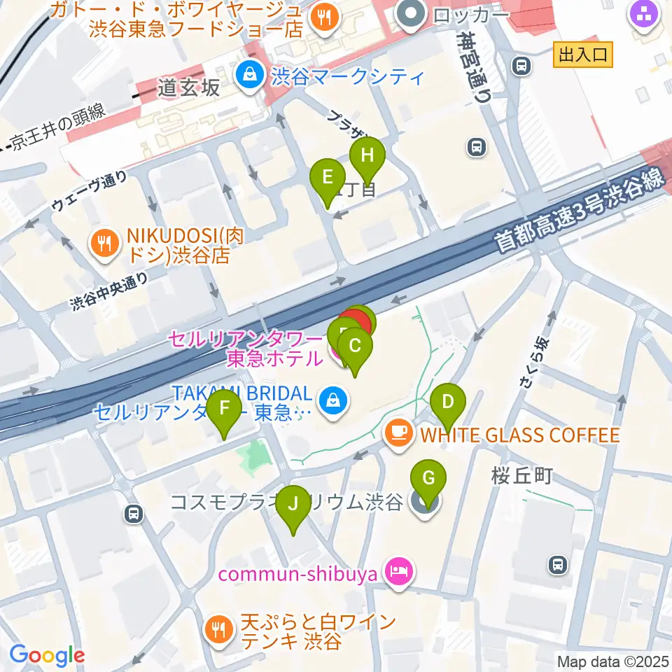 セルリアンタワー能楽堂周辺の駐車場・コインパーキング一覧地図